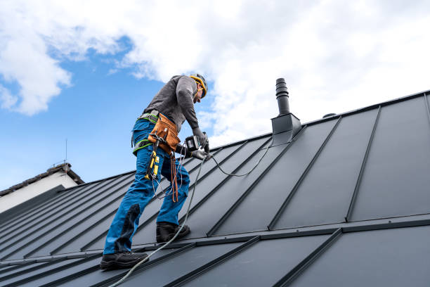 Best Skylight Installation and Repair  in Foster Brook, PA